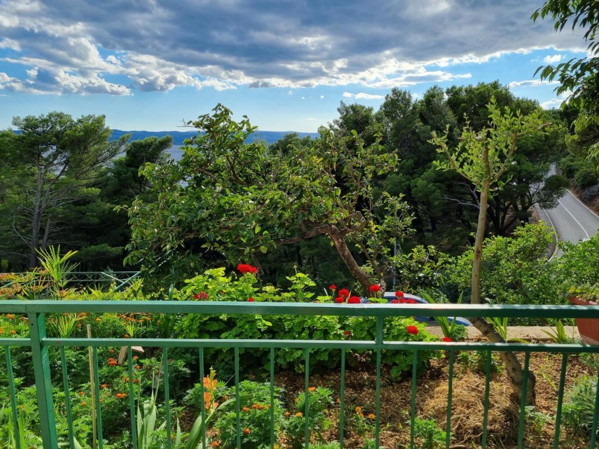Guesthouse Dominovic Brela Exterior photo